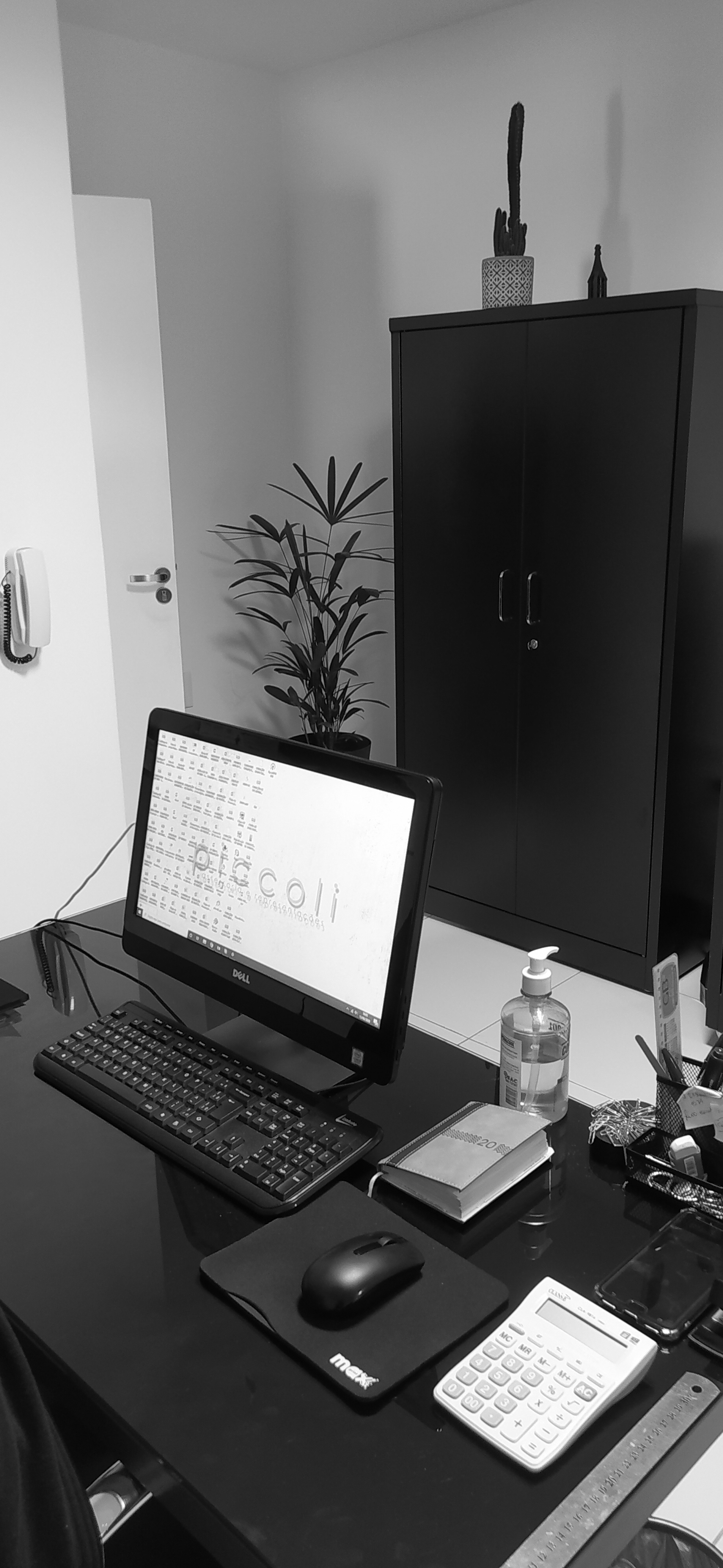 IMG_20200813_100502 (1).jpg